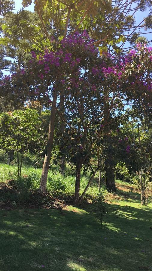 Pousada Canto Dos Passaros Itanhandu Dış mekan fotoğraf